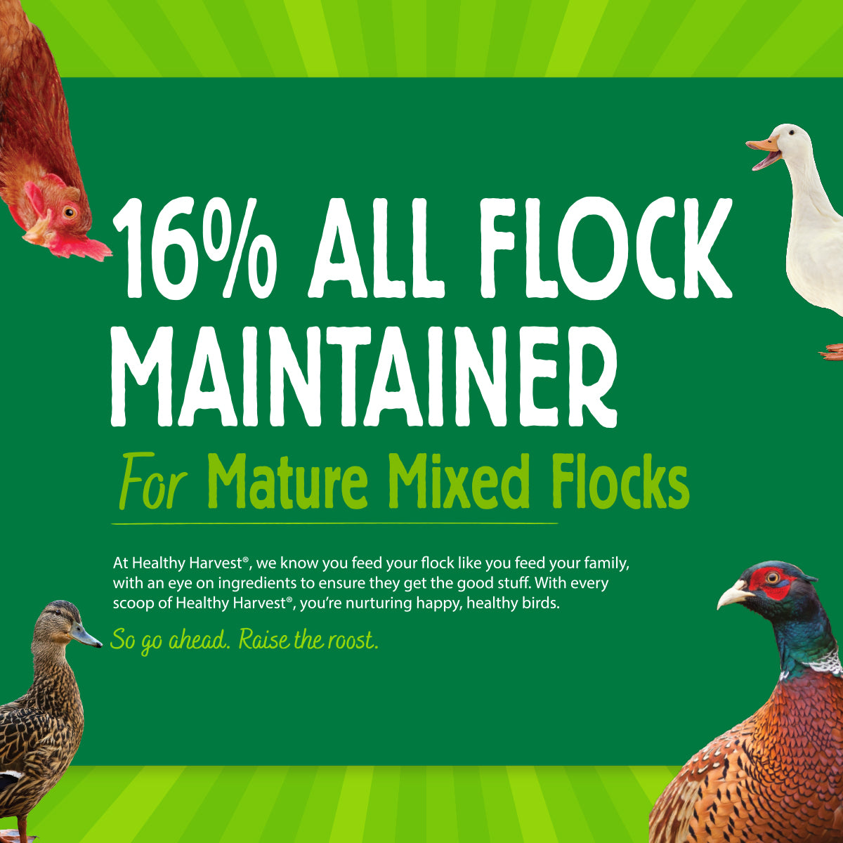 16% All Flock Maintainer for mature mixed flocks 40lb Bag