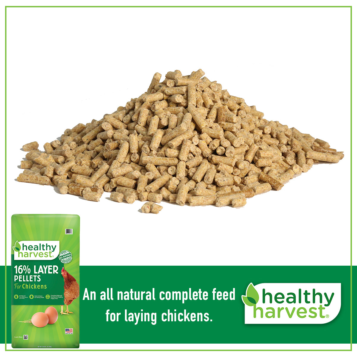 16% Layer Pellets 40 lb Bag