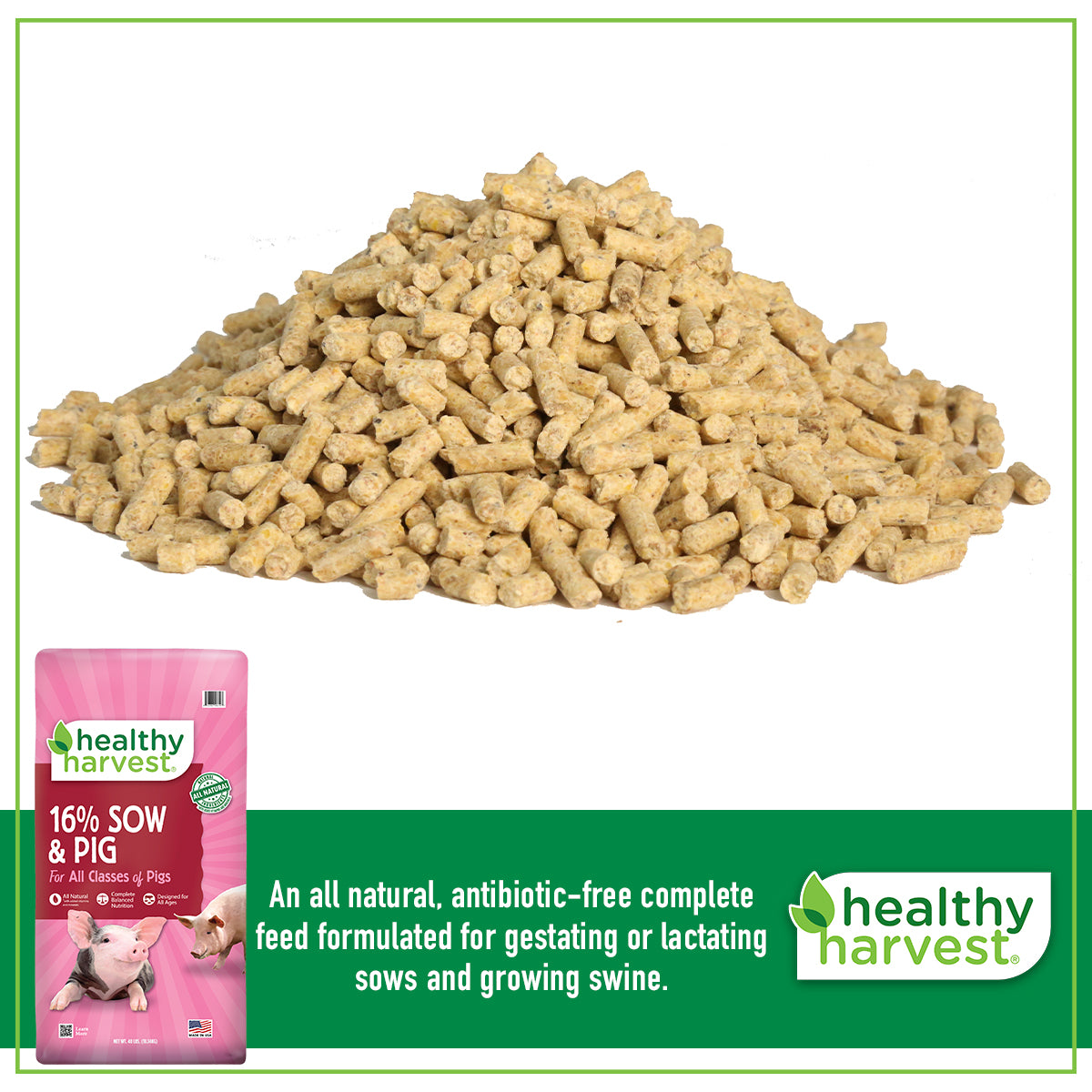 16% Sow & Pig 40 lb Bag