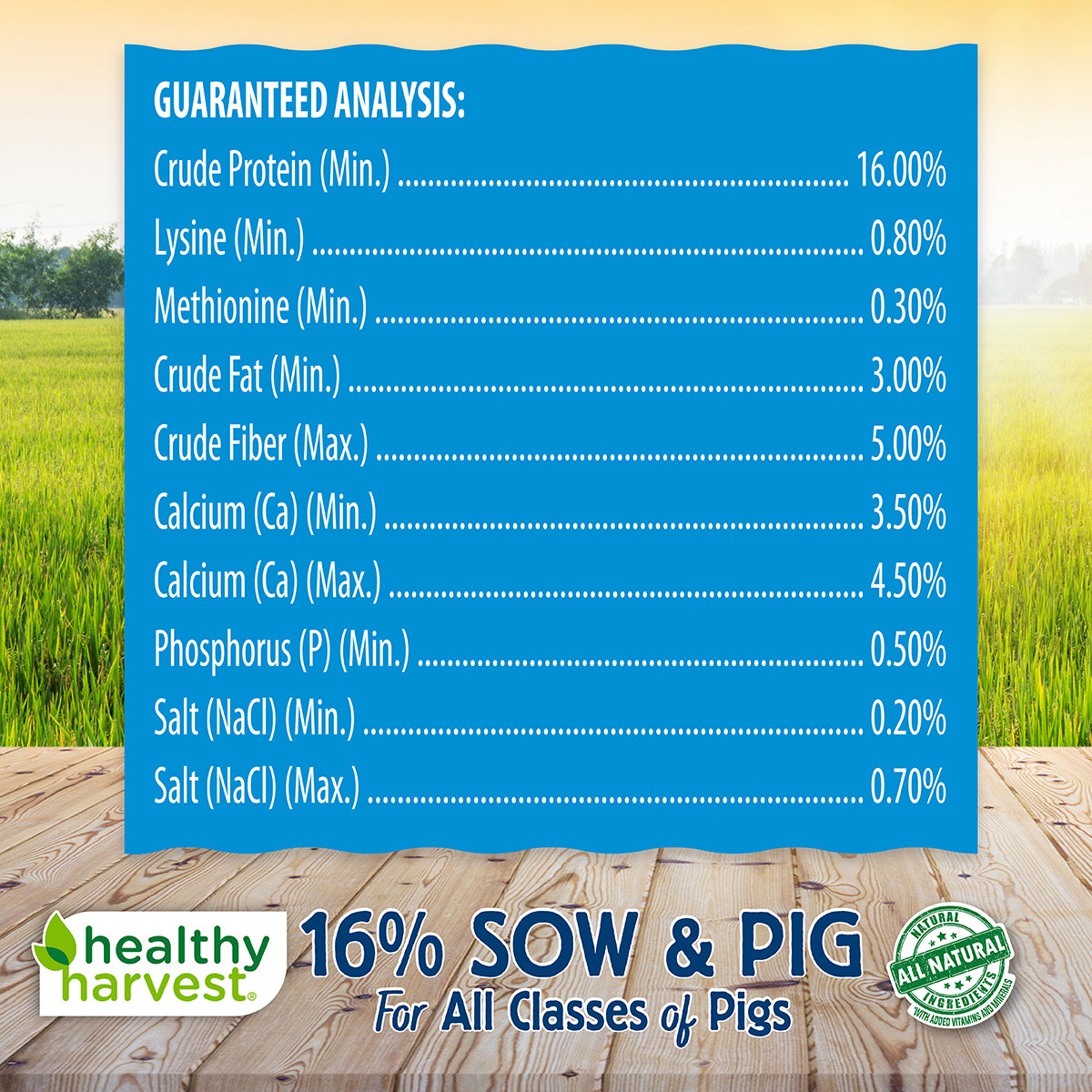 16% Sow & Pig 40 lb Bag