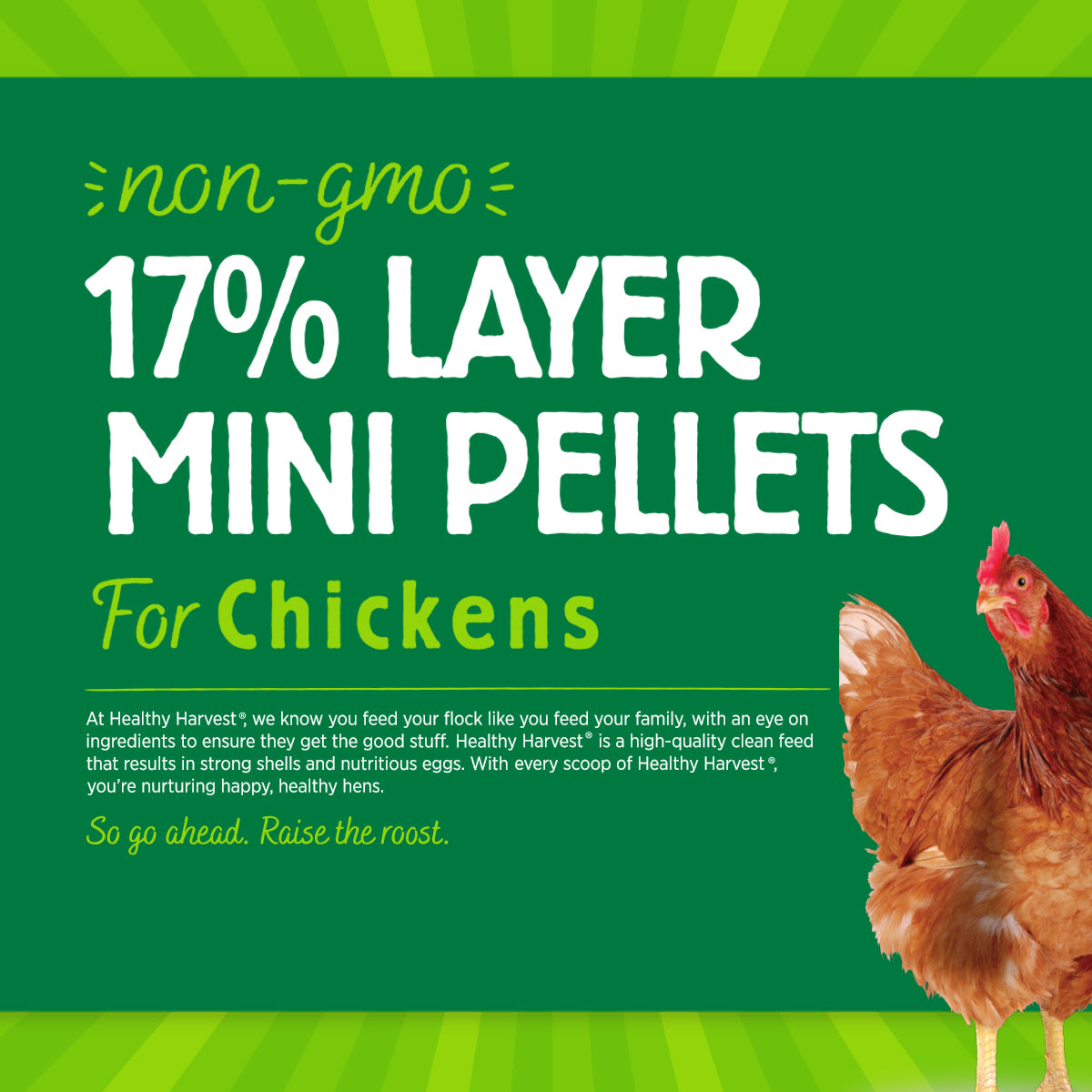 Non-GMO Layer Pellets | Chicken Feed | Healthy Harvest – Healthy ...