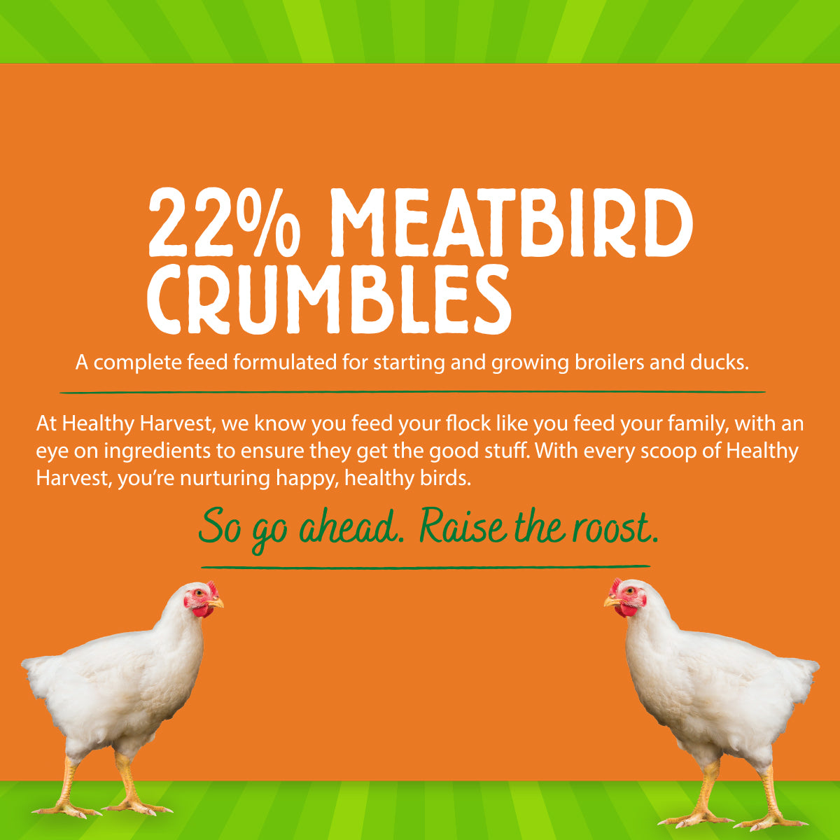 22% Meatbird Crumbles 40 lb Bag