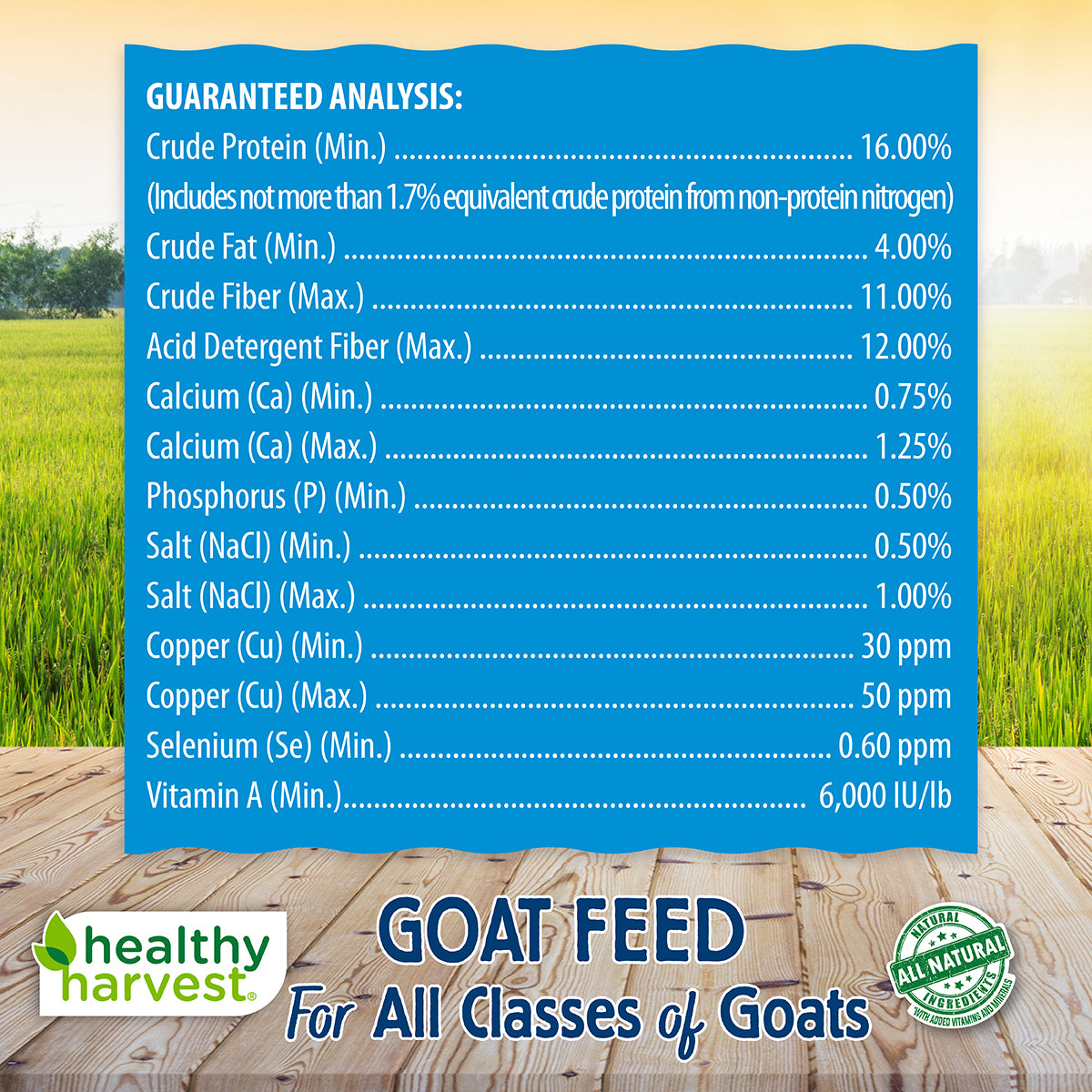 16% Goat Feed 40 lb Bag