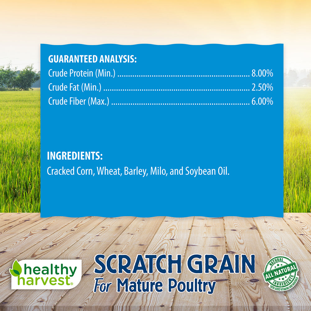 Scratch Grain 40 lb Bag Chicken Feed Healthy Harvest Healthy
