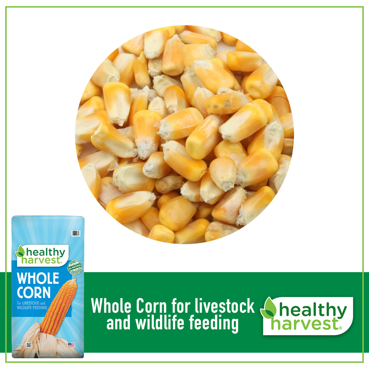 Whole Corn 40 lb Bag